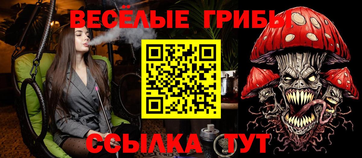 Псилоцибиновые грибы MAGIC MUSHROOMS Сосновый Бор