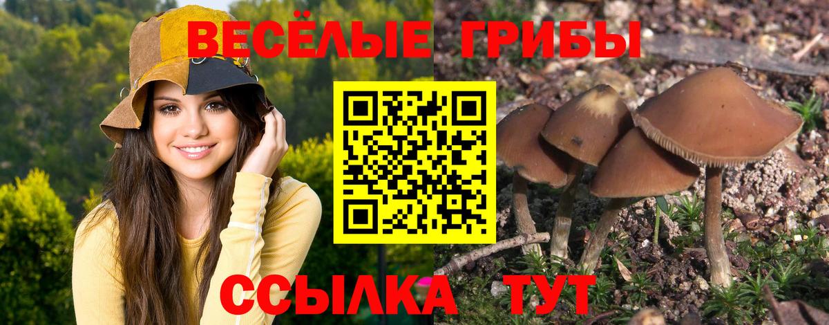 Псилоцибиновые грибы Magic Shrooms  Вход с VPN  Сосновый Бор 